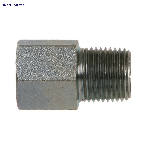 Female O-ring to Male Pipe