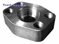 Flat Female Thread Flange